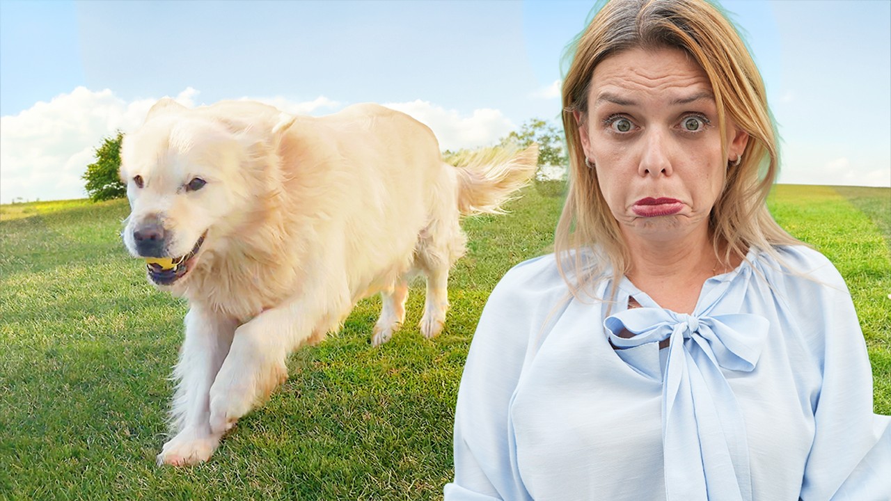 Max face ravagii în curte 😫 câinele scapă de sub control 🏡