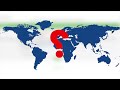 JOffice Training – Your Wallet – Jeunesse Global