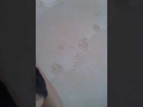 Продолжение следует...