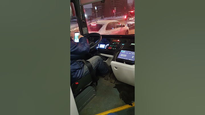 как работают водители автобусов в Петербурге