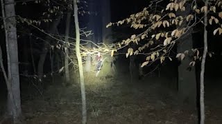 Coon Hunting in Alabama with the legend (David Haynes)#treeingwalker #takeakidhunting #coonhunting by Coon Hunting with Otter  1,023 views 2 months ago 8 minutes, 25 seconds