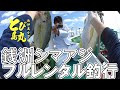 フルレンタルで銭洲シマアジ!!（2021/04/12 とび島丸）Zenith-striped jack.