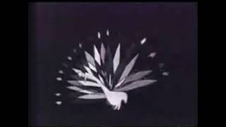 1957 NBC Peacock? HAVING A FREAKING SEIZURE?