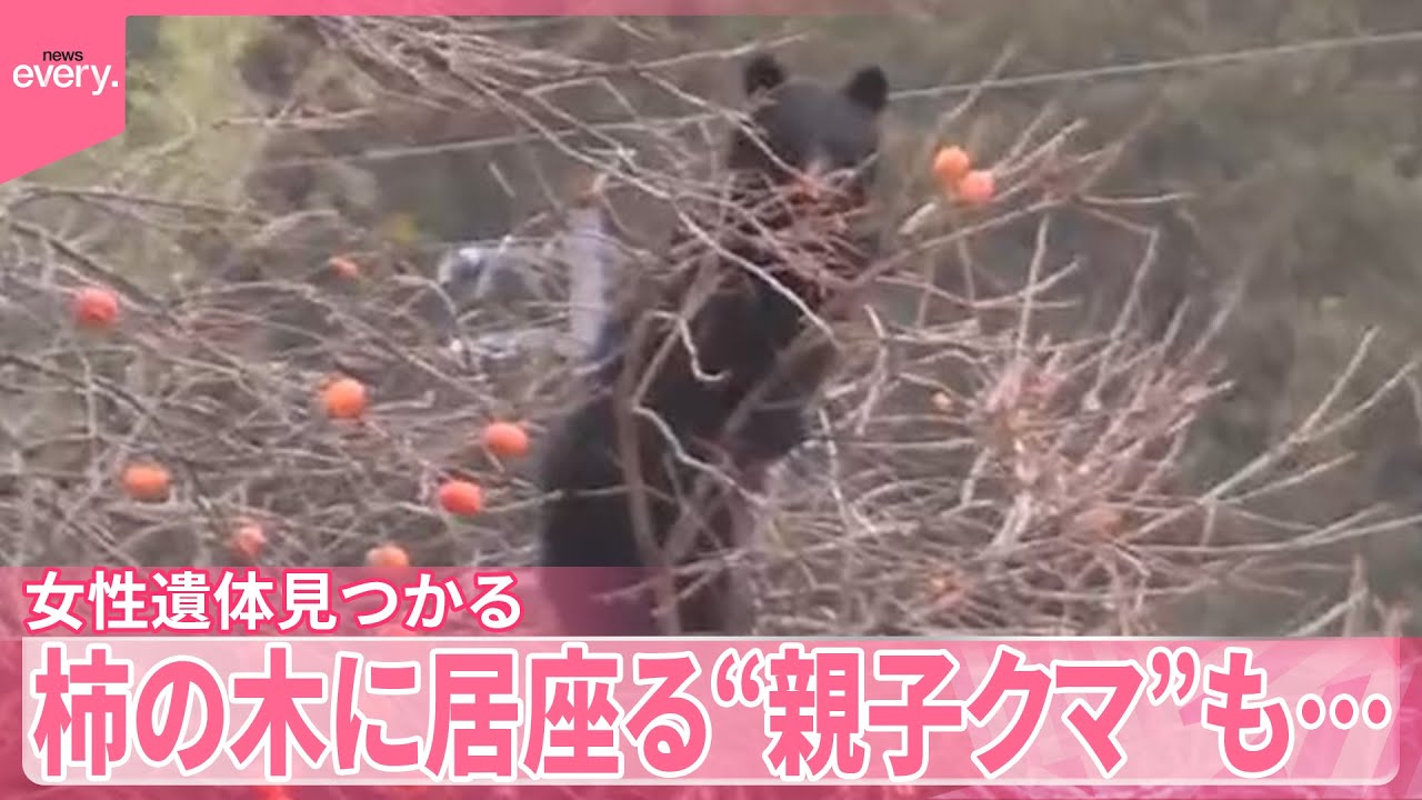 熊 遺体