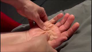 Healing Through Ayurvedic Treatment | Shirodhara + Abhyanga Treatment | Sacramento
