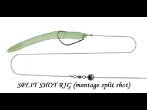 SPLIT SHOT e CAROLINA RIG 💊 Pillole di Bass Fishing 