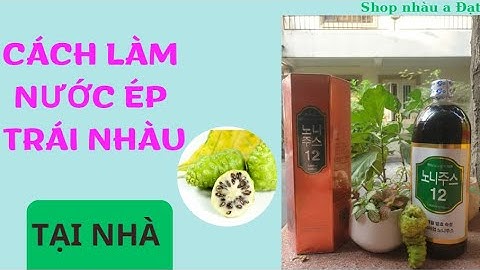 CÁCH TỰ LÀM NƯỚC ÉP TRÁI NHÀU/NƯỚC CỐT NHÀU TẠI NHÀ DƠN GIẢN_ZALO 0973 765 730