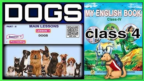 Class 4 english lesson 1 main lessons Dogs question & answer odia medium