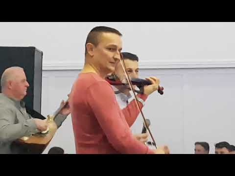 Milan Stajić &
