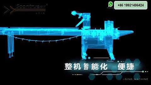 flow wrapping machine | bread packing machine soontrue