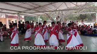 Cca Programme