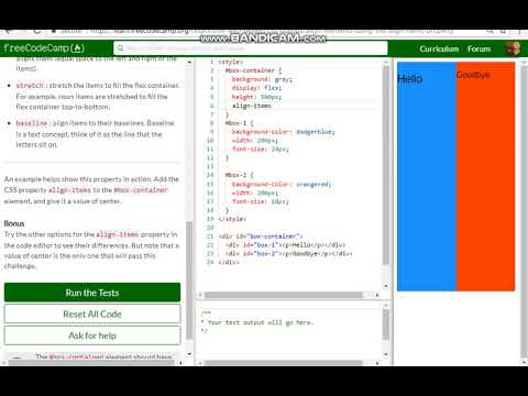 CSS Flexbox Align Elements Using the align items Property free code camp   Dani
