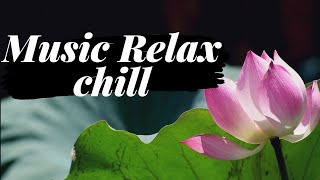 Music chillout. Music relax. Relax Time. Nature. Музыка релакса. Цветок лотос.