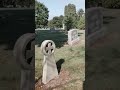 WHAT DID I FIND IN CEMETERY shorts