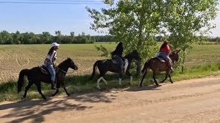 WE SPENT A FULL DAY HORSEBACK RIDING & BINKS ALMOST FELL OFF | I CANT BELIEVE THIS HAPPENED