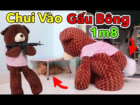 Video Thử Chui Vào Trong Gấu Nhồi Bông và Đi Hù Người Khác... - youtube