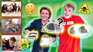 I ACTUALLY PUT COCKROACHES IN TEAM 10’s FOOD... {SAVAGE PRANK} screenshot 4