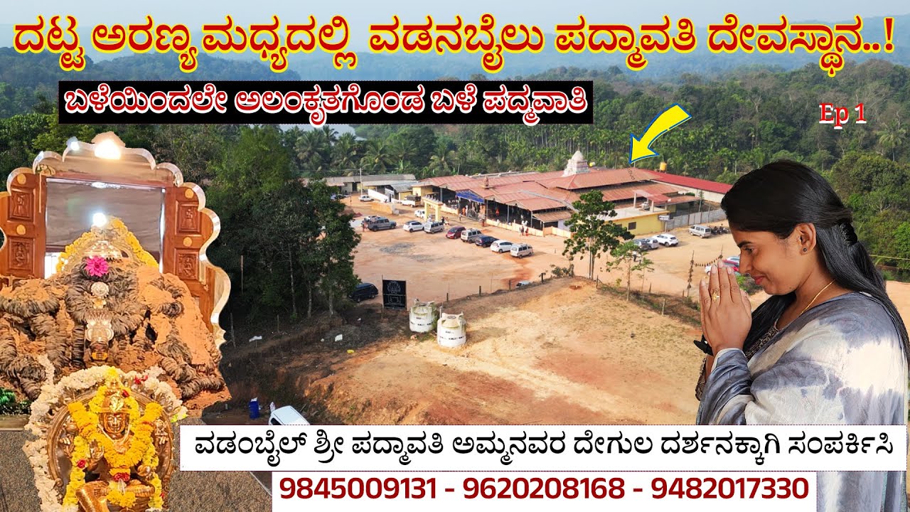 ದಟ್ಟ ಅರಣ್ಯದ ವಡನಬೈಲು ಬಳೆ ಪದ್ಮಾವತಿ ದೇವಸ್ಥಾನ - 7 ಅಡಿ, 7ಎಡೆ 7 ಕ್ವಿಟಲ್ ನಾಗ ! Vadanbailu Padmavathi Temple