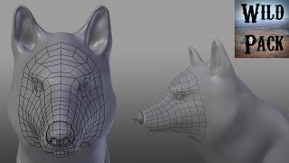 Modelling the Wolf Part 1