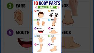 10 Body Parts Names in English | Body Parts for students | Learn English Vocabulary