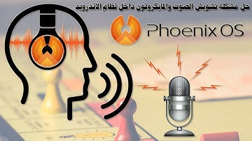 حل مشكلة الصوت في نظام فونيكس