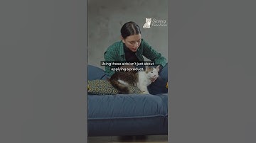 Calming Aids for Nervous Rescue Cats: Best Sprays & Diffusers That Actually Work