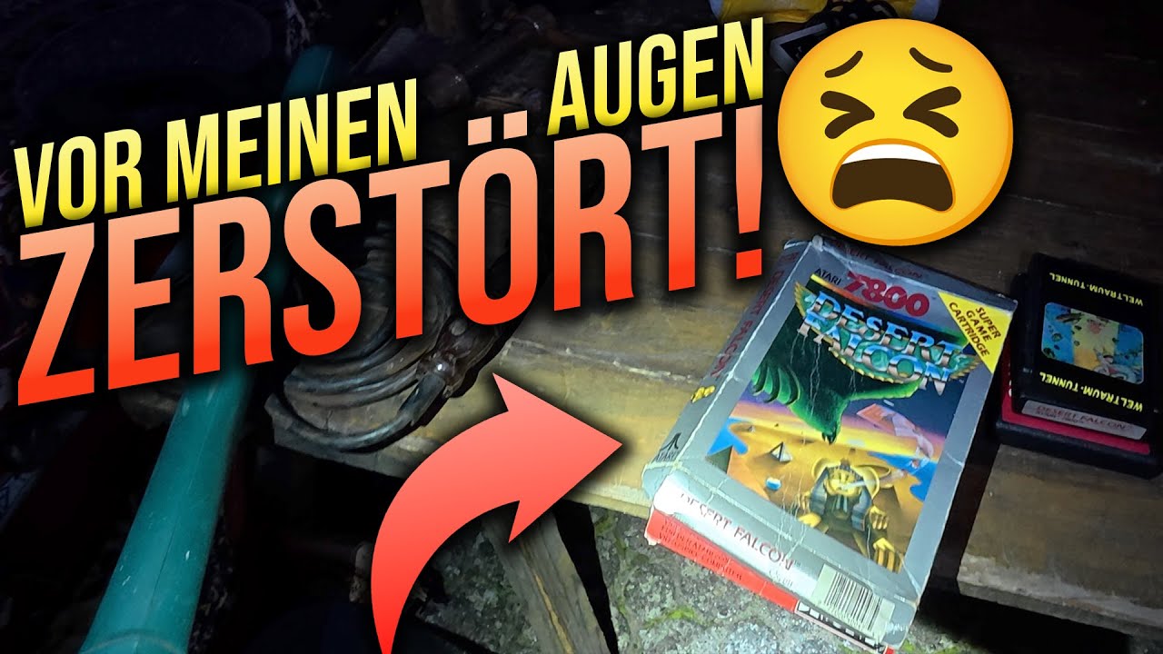 Er zerstört die OVP vor meinen Augen 😭 Neues vom Flohmarkt #206