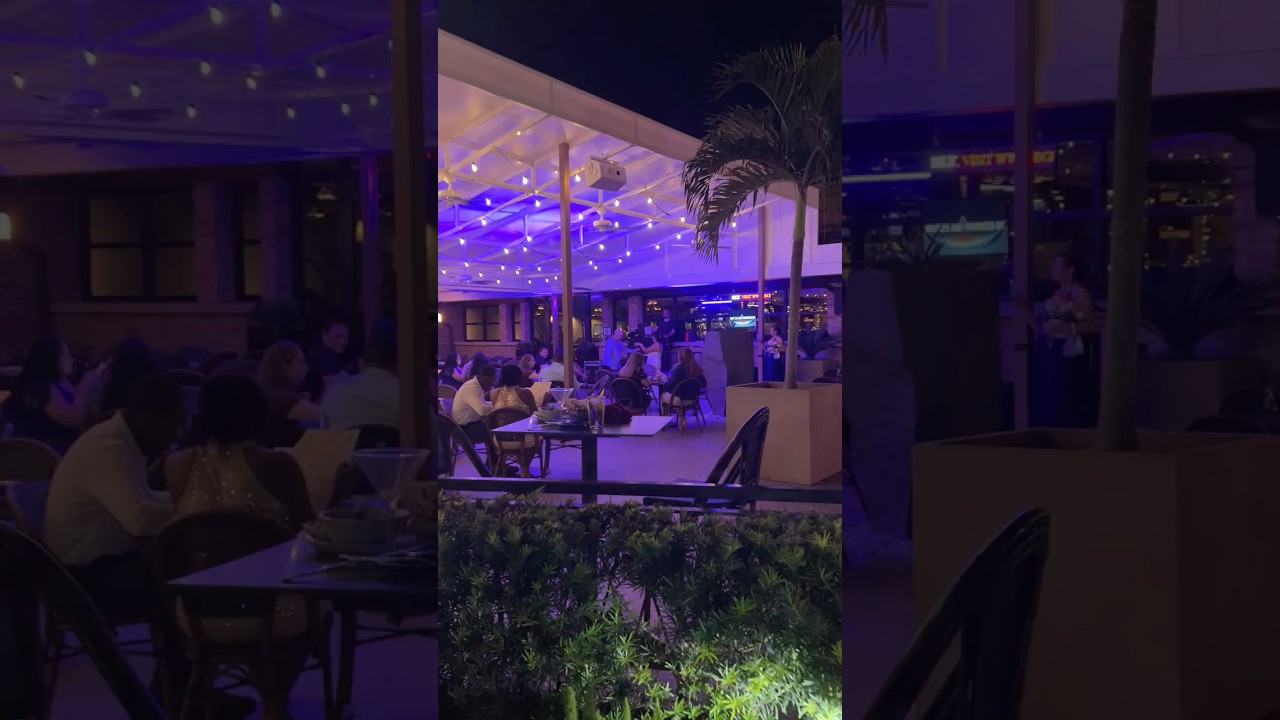 Tour and party por Miami 