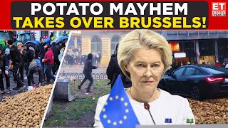 Brussels In Chaos Farmers Revolt, Streets Buried Under Mountains Of Potatoes World News