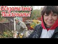 Чтобы все росло, цвело и пахло. Сад и огород на болоте. Жизнь семьи в деревне.