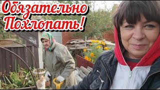 Чтобы все росло, цвело и пахло. Сад и огород на болоте. Жизнь семьи в деревне.