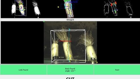 Automatic Leek Trimming using 3D Machine Vision