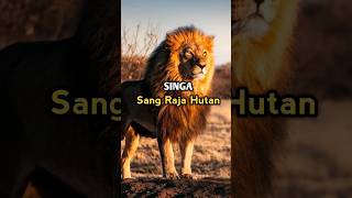 fakta singa sang raja hutan #singa #shorts #lions