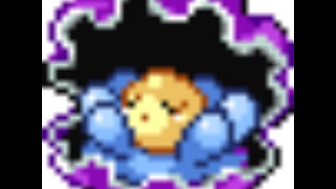 (ISHC #1) Shiny Clamperl after about 200 re (Ruby)