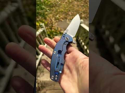 Hinderer Jurassand Tippy, the Cat!