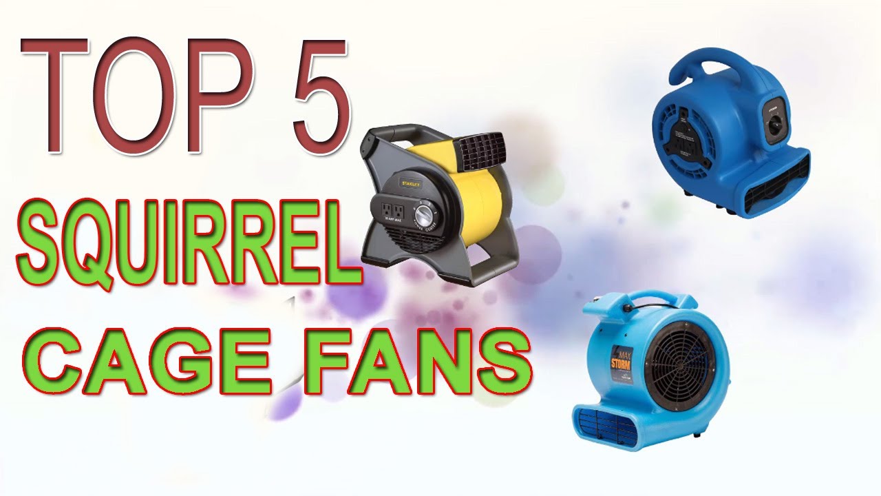 Best Squirrel Cage Fans 2020 Top 5 Squirrel Cage Fan Review. YouTube