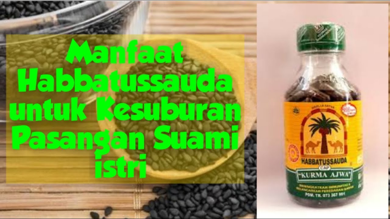 Habbatussauda Obat Segala Macam Penyakit | INFO KESEHATAN 
