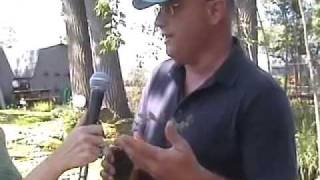 Green Roof Garden Plant Evaluation