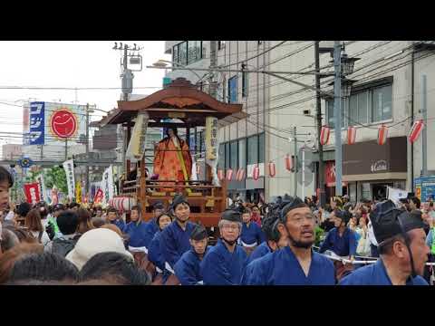 2019年　第５２回伊勢原観光道灌まつり　丸山桂里奈