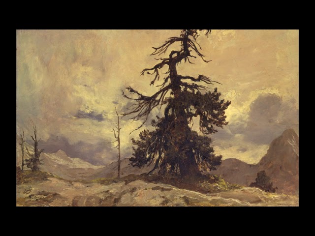 Luigi Boccherini – Cello Sonata in A major, G 13 Luigi Puxeddu & Federico Bracalente, 2008