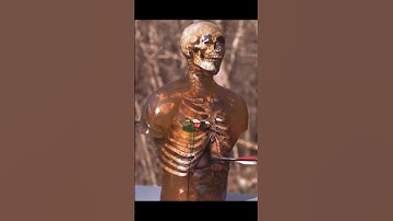 Kentucky Ballistics: How Lethal Are Crossbows??? #experiment