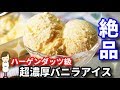 【ハーゲンダッツ級】美味しすぎる『超濃厚バニラアイスクリーム』Rich vanilla ice cream