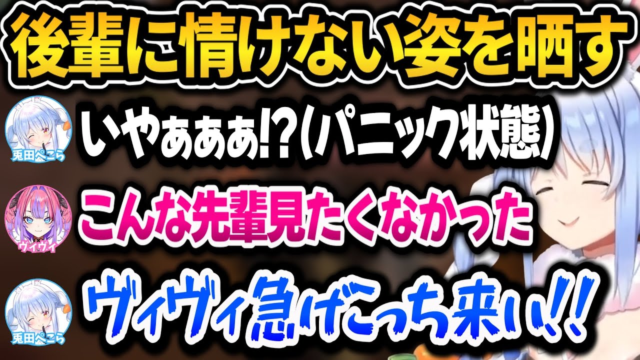 ぺこらプチパニックを起こしてしまいぶちぎれ！それを見たヴィヴィ蛙化してしまうｗ【ホロライブ切り抜き/兎田ぺこら/綺々羅々ヴィヴィ】
