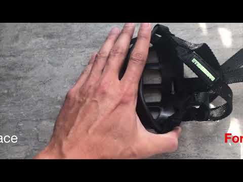 Baskerville Muzzle Shaping