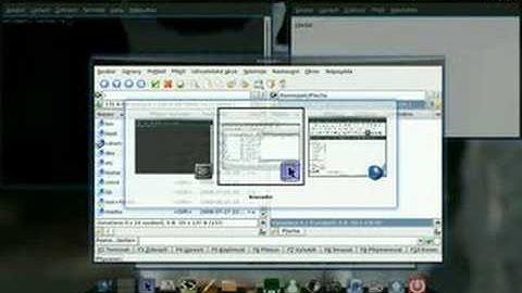 Ubuntu 8.04 + Compiz Fusion + Cairo-Dock