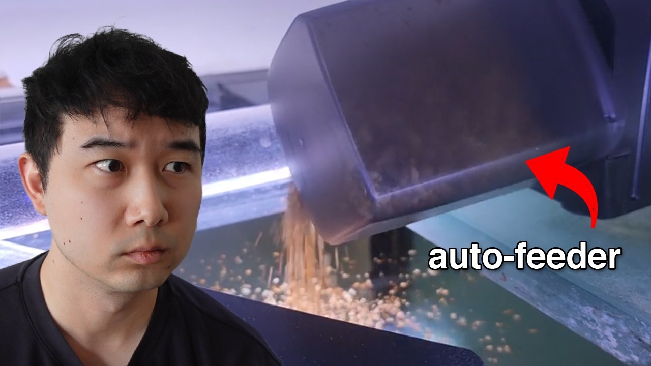 Fish Tank accidents but it keeps GETTING WORSE | Fish Tank Review 357