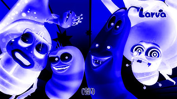 Larva Intro in Videoup