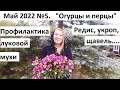 Май 2022 №5 Высаживаем перцы и огурцы в природном земледелии. Профилактика луковой мухи и .....