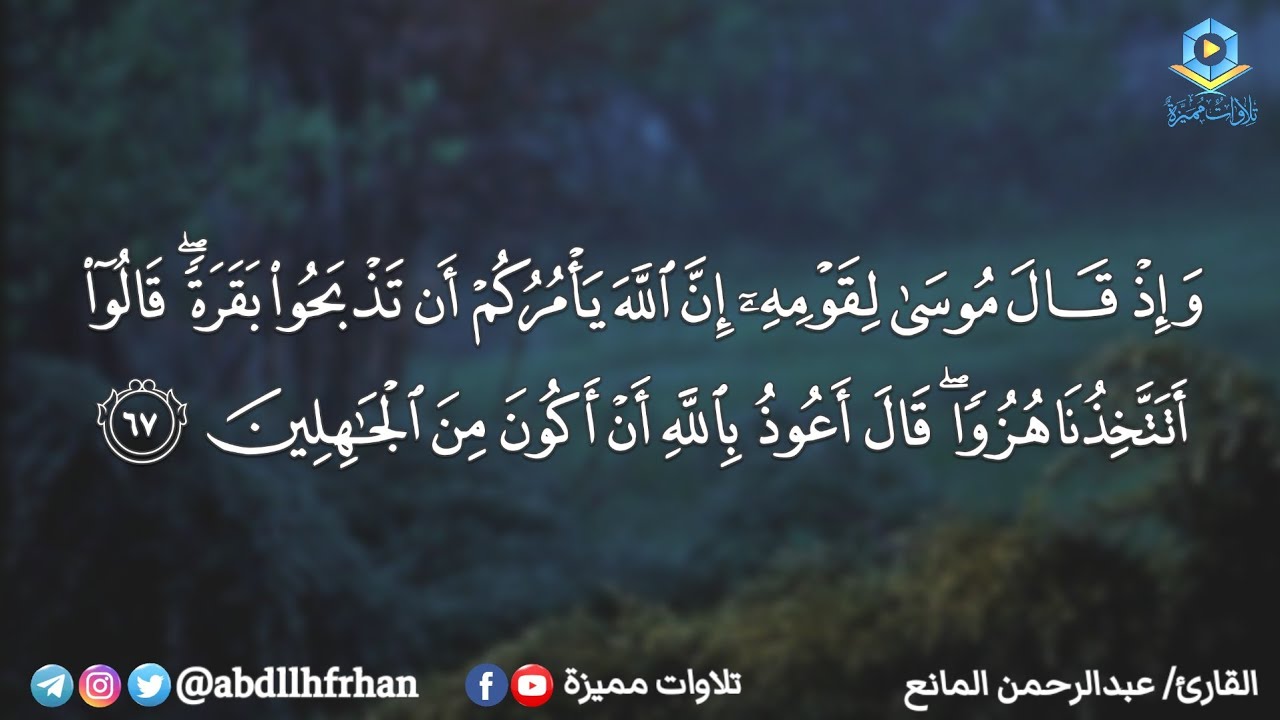 "وإن منها لما يهبط من خشية الله" || تلاوة هادئة تريح القلب من سورة البقرة - القارئ عبدالرحمن المانع