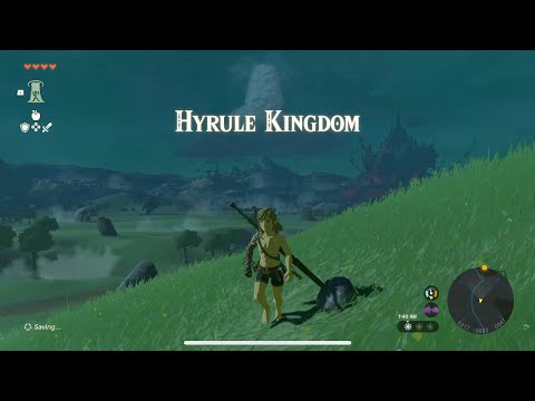 Fall Damage Cancel (v1.1.2) - Tears of the Kingdom